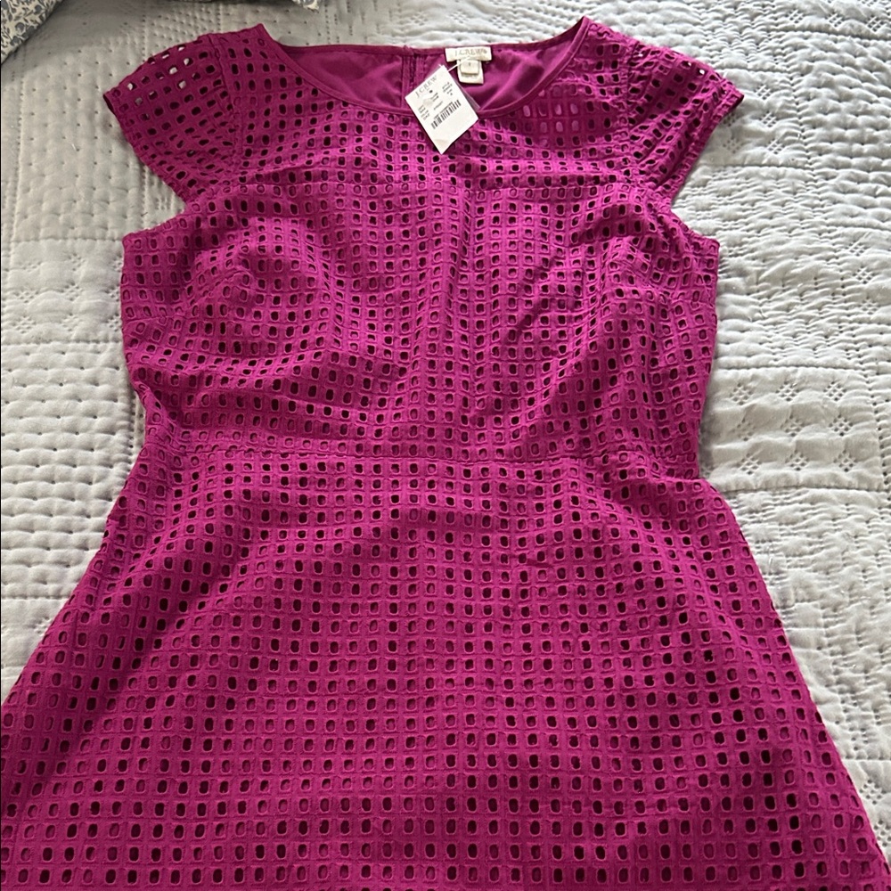 J. Crew Fuchsia Eyelet Dress